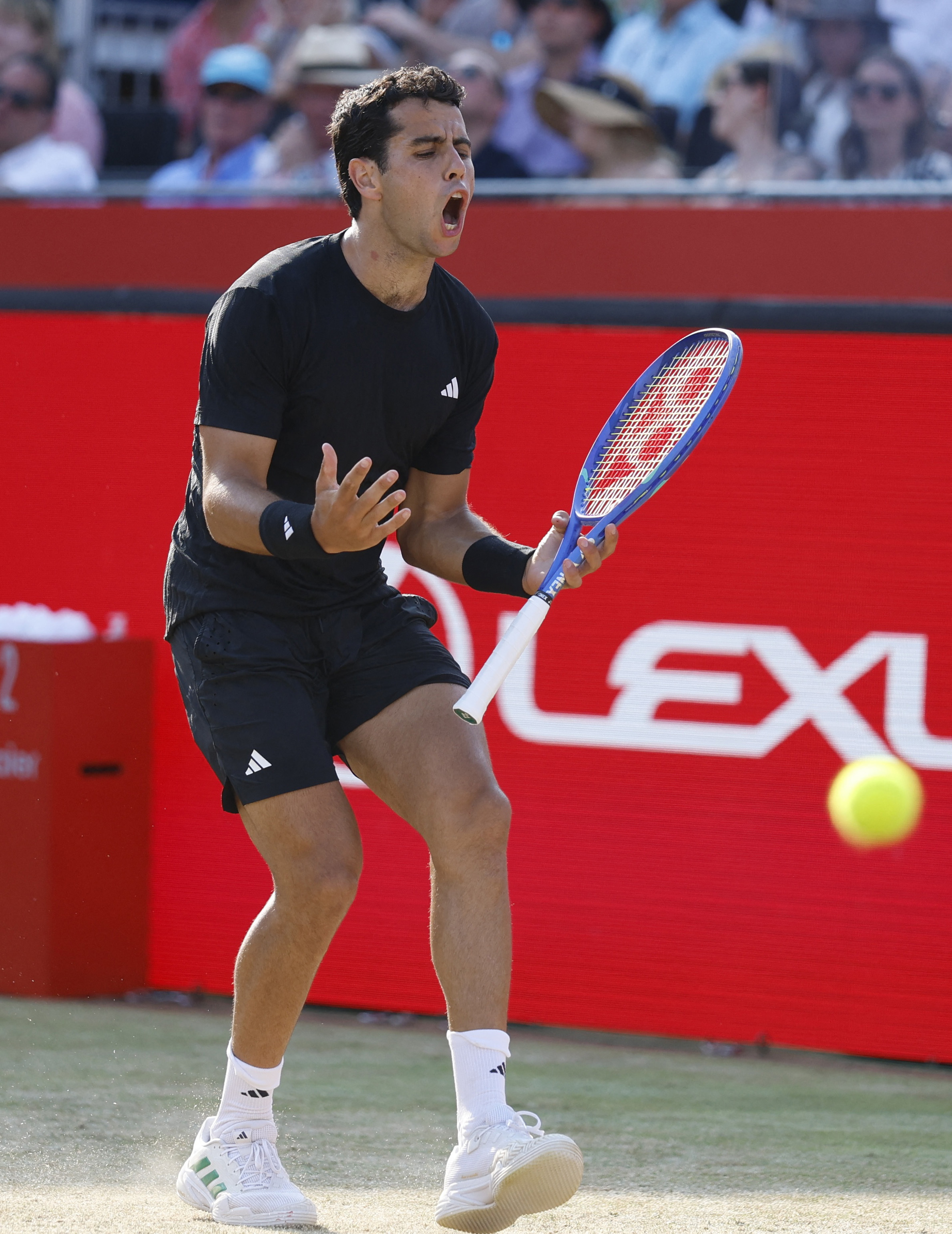 关于德国网球队强势日本网球队，阿尔卡拉斯关键制胜的信息