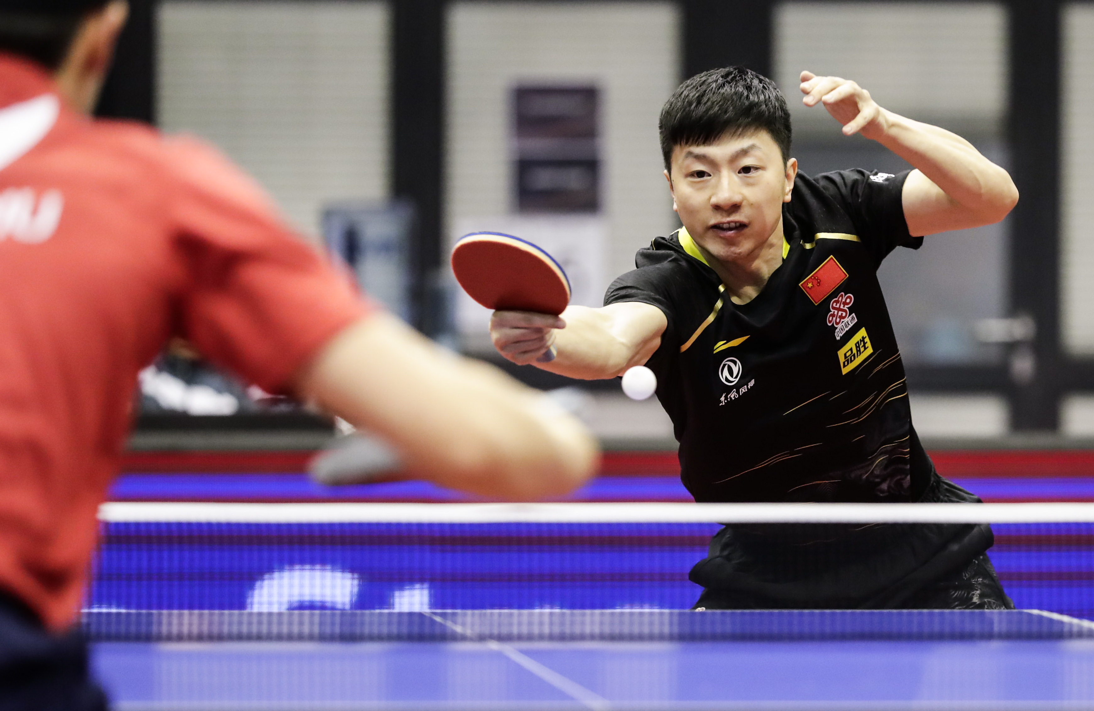 德国队绝杀葡萄牙队，许昕关键制胜的简单介绍